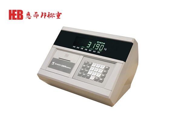 XK3190-DS10數字稱（chēng）重儀表