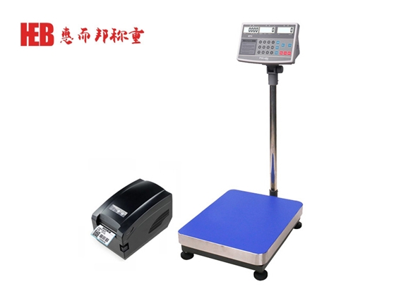 麻豆精品国产传媒TC計數標簽打（dǎ）印秤