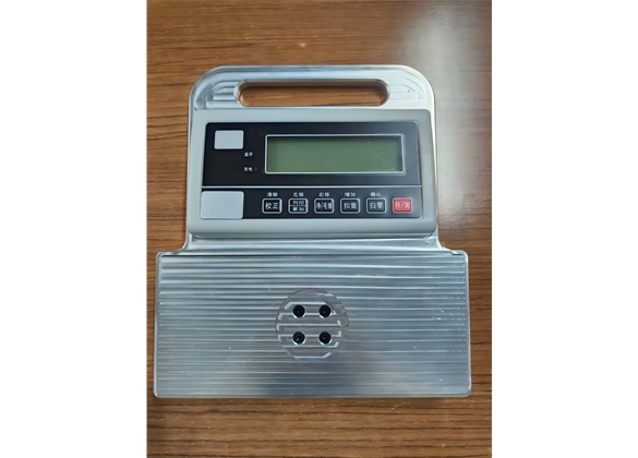 非標（biāo）定製電子秤